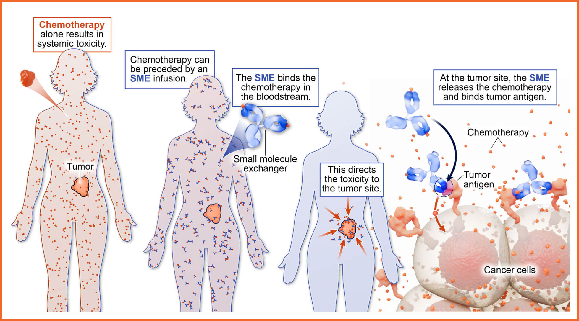 small-molecule-exchanger-infographic